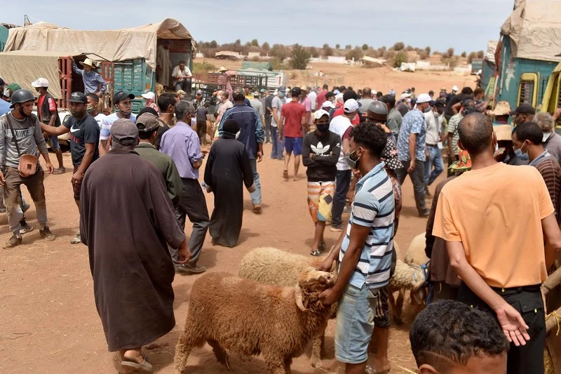 ازدحام لافت في سوق قصبة مديونة لبيع وشراء الأضاحي