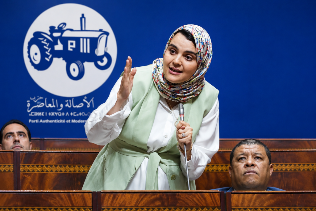 زينب السيمو تنفي تعرضها لأي ضغوط وتؤكد أن التحاقها بـ”البام” نابع من قناعة شخصية