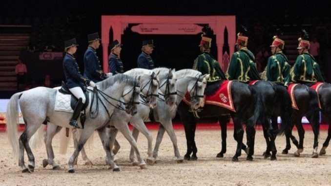 معرض الفرس للجديدة يحتفي بتميز تربية الخيل عبر أربع مباريات كبرى مخصصة للسلالات الأصيلة